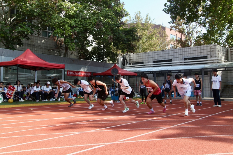 IMG_7339.jpg
